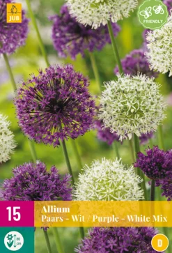 15 allium paars-wit mix