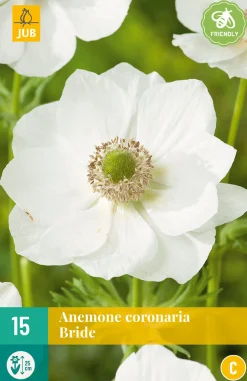 15 bloembollen anemone coronaria bride