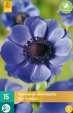 15 bloembollen anemone coronaria mr. fokker