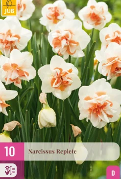 10 bloembollen narcissus replete