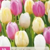 12 bloembollen tulipa sorbet mix