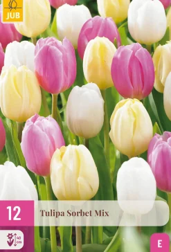12 bloembollen tulipa sorbet mix