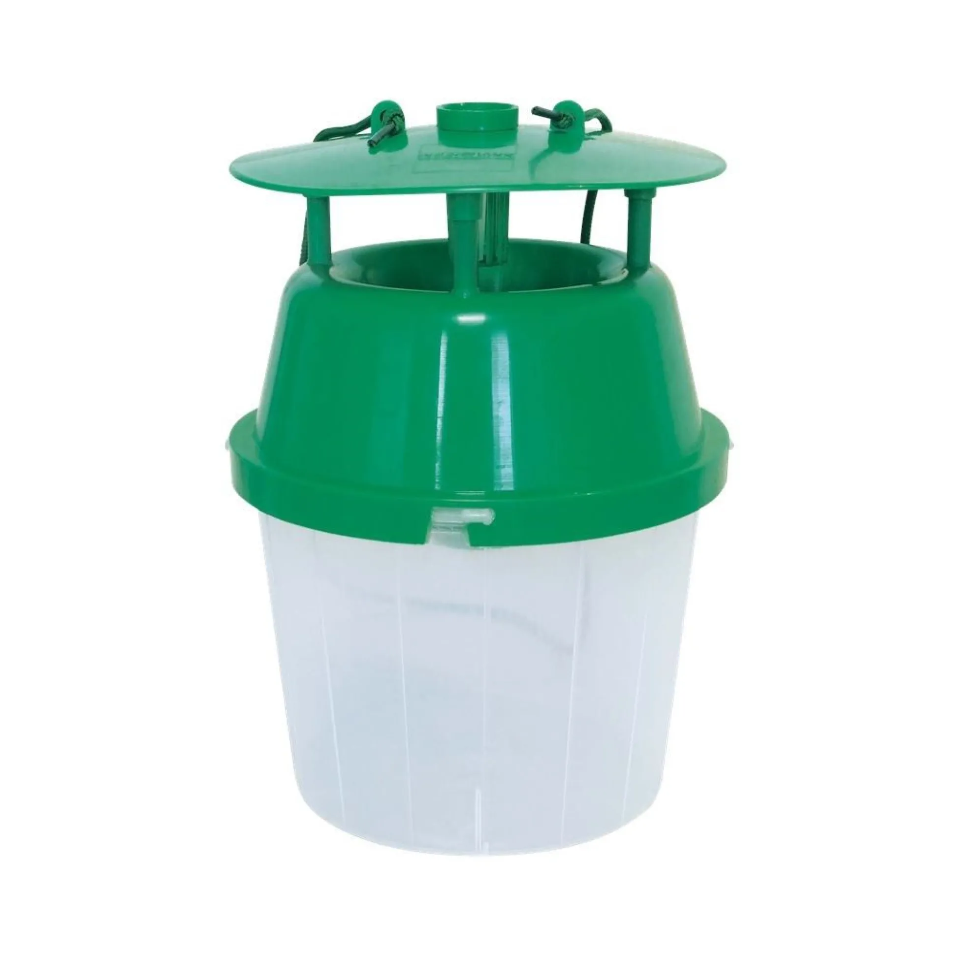 2 buxusmottenvallen en 2 feromooncapsules