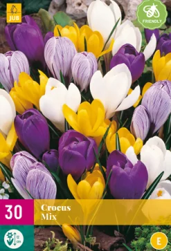 30 crocus grootbloemig mix