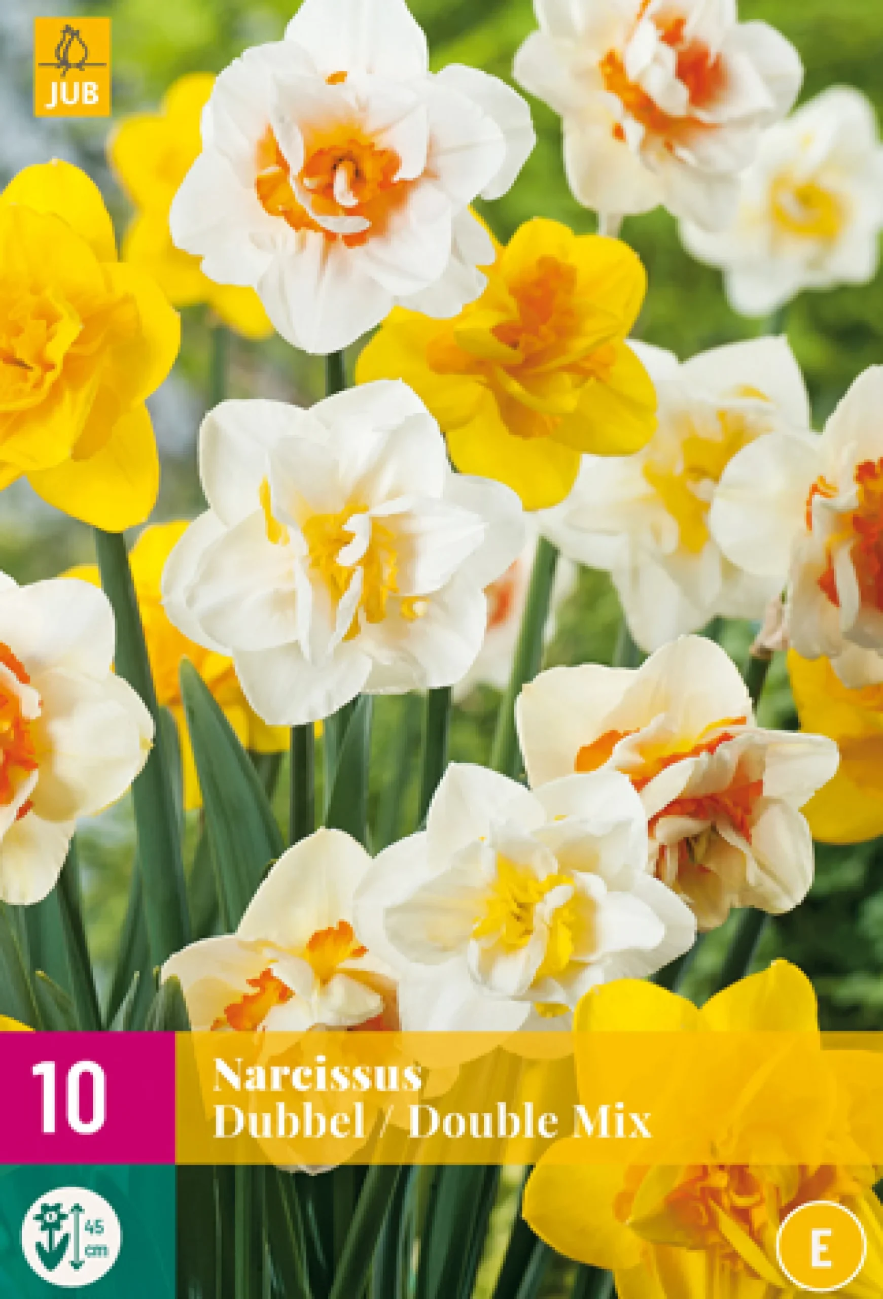 10 narcissus dubbel mix