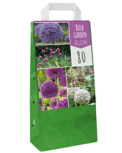1 tas met 80 bollen bulb garden allium