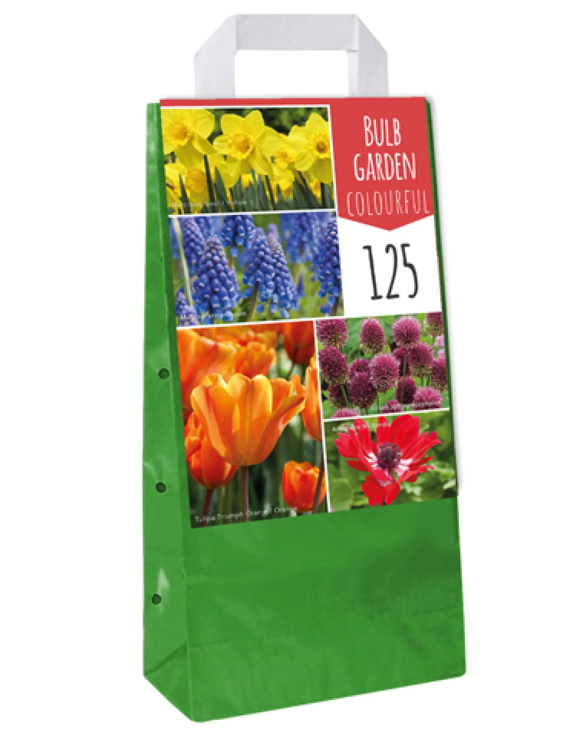 1 tas met 125 bollen bulb garden colourful