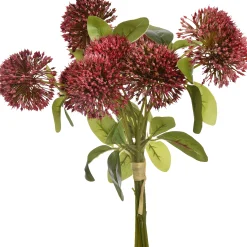 Allium boeket