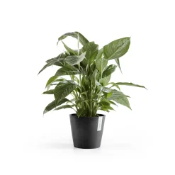 Amsterdam 20cm donkergrijs met waterreservoir