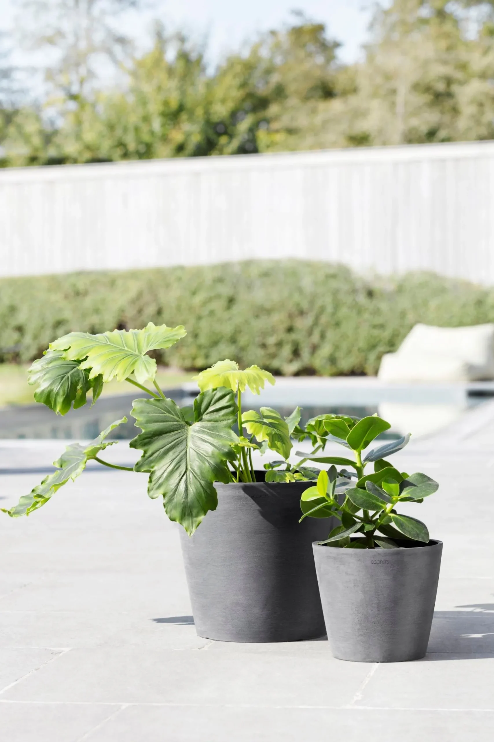 Amsterdam 20cm grijs met waterreservoir