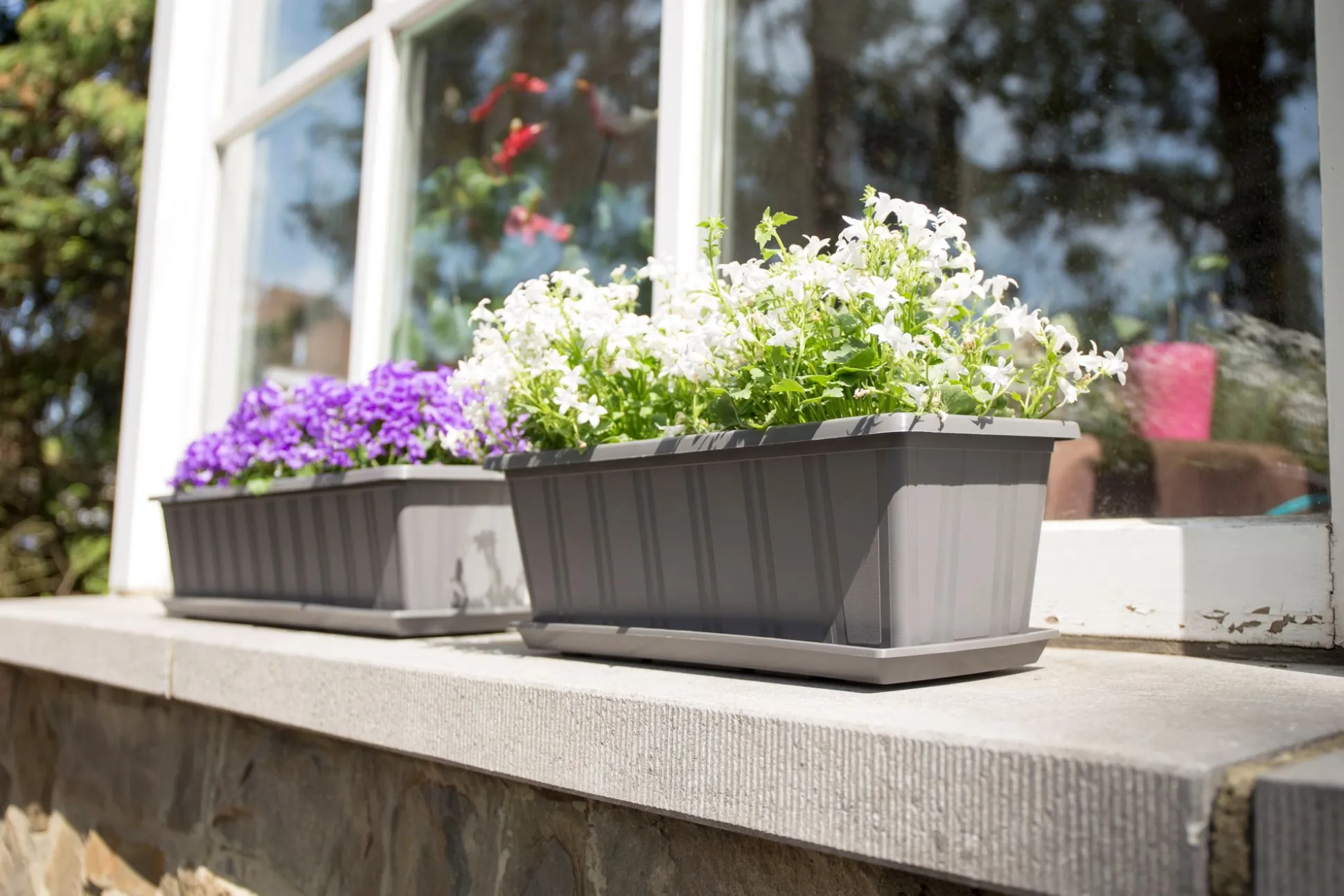 Balkonbak Super 50 cm Antraciet