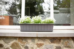 Balkonbak Super 50 cm Antraciet