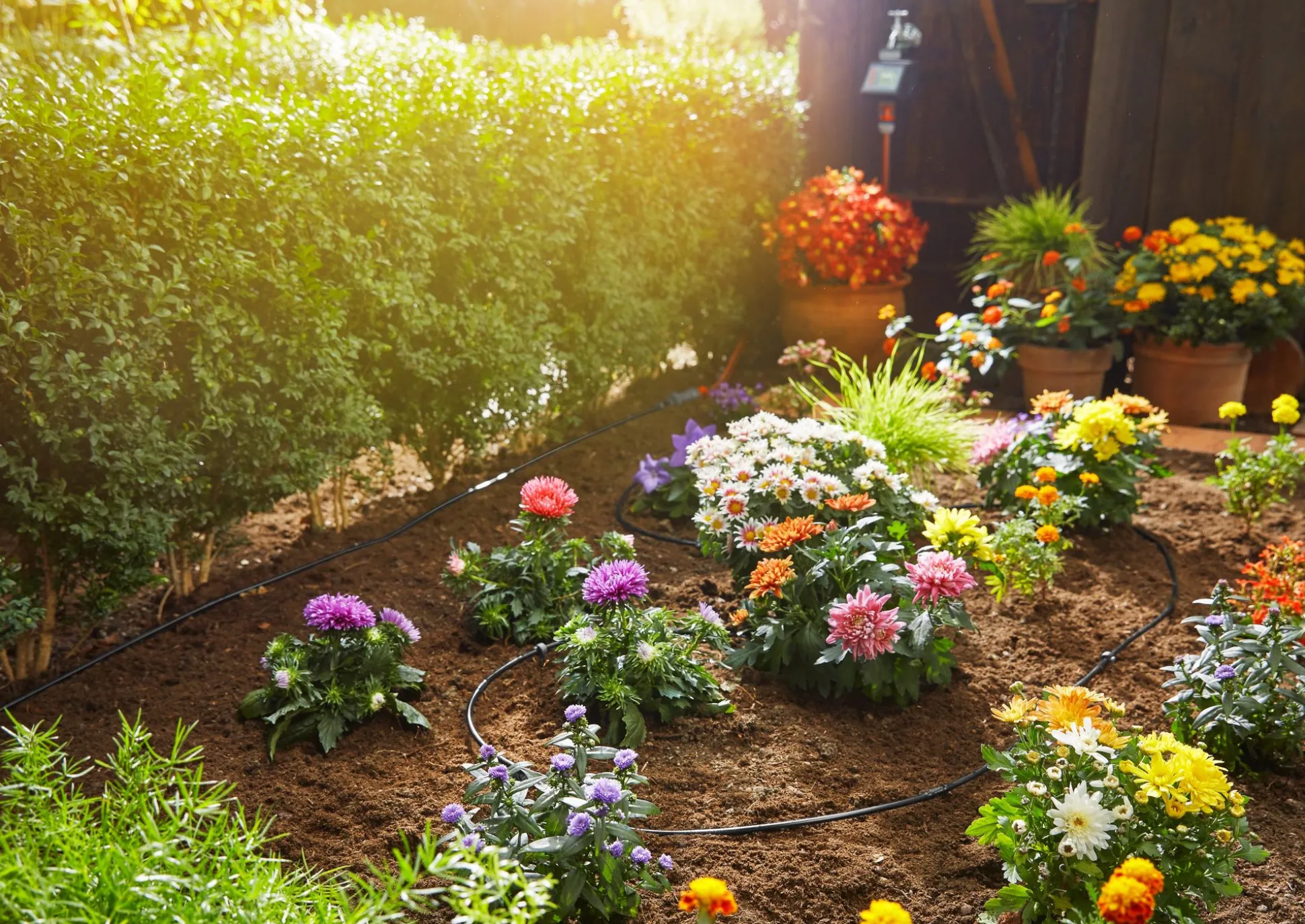 Bewateringsset voor gewassen- of plantenrijen van 15m