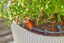 Bewateringsset voor terras