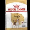 Bhn beagle 3kg