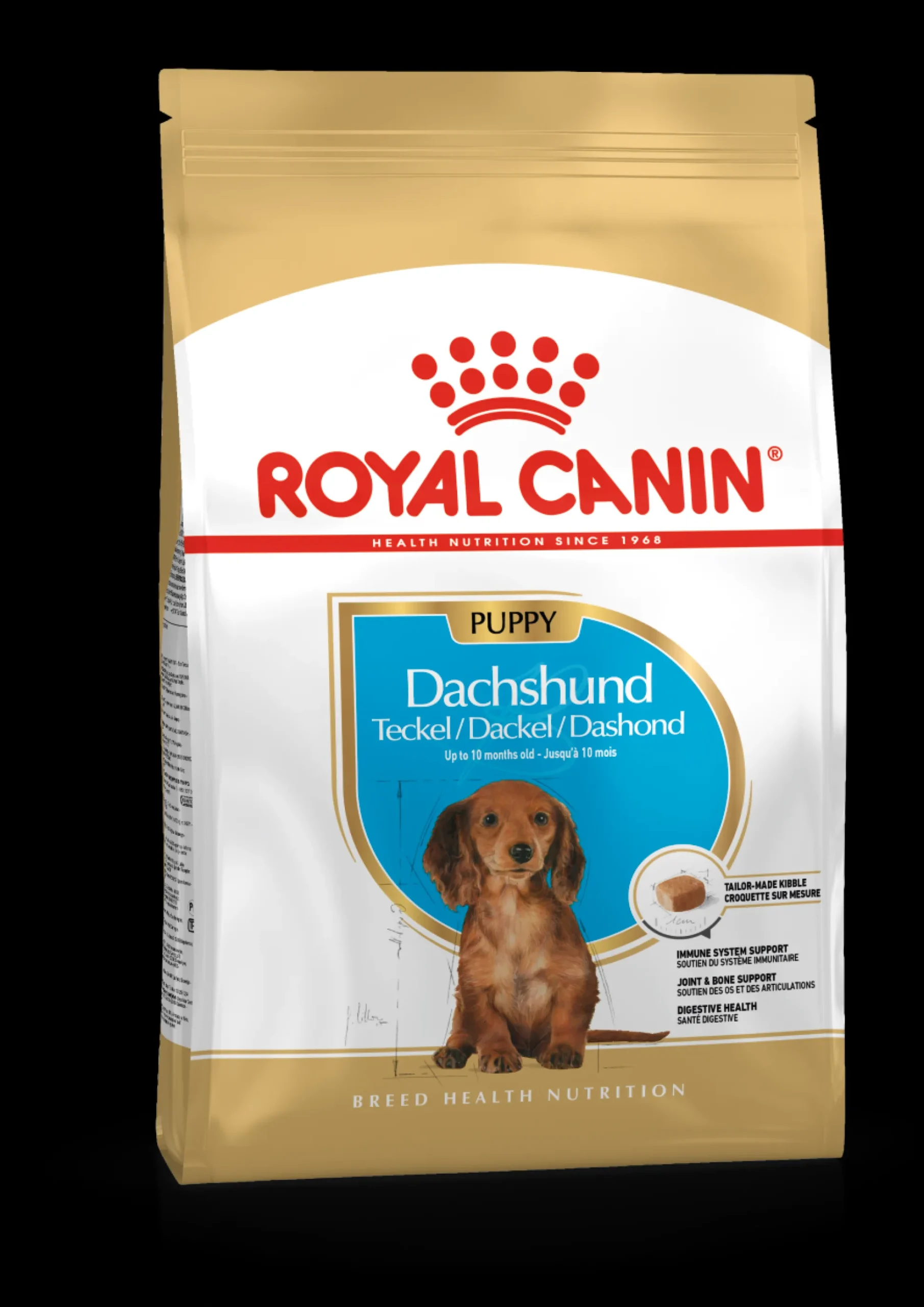 Bhn dachshund puppy 1.5kg