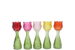Bicolore tulp vaas 7x18