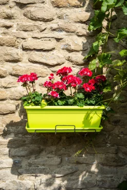 Bloembak relax 60x20h16 lime