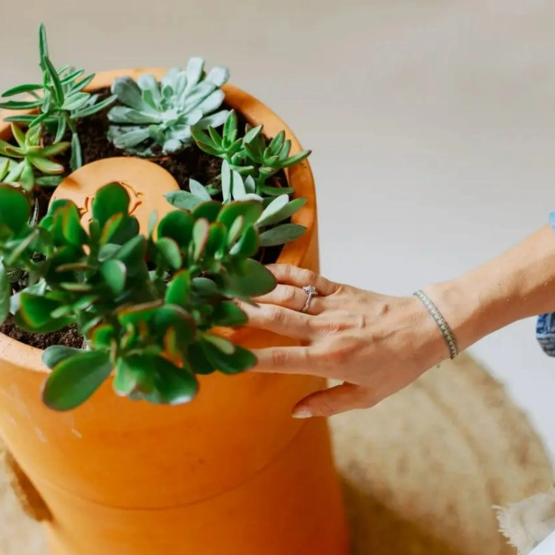 Bloemen composter 2 lagen