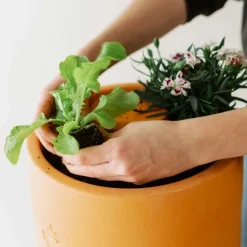 Bloemen composter 2 lagen