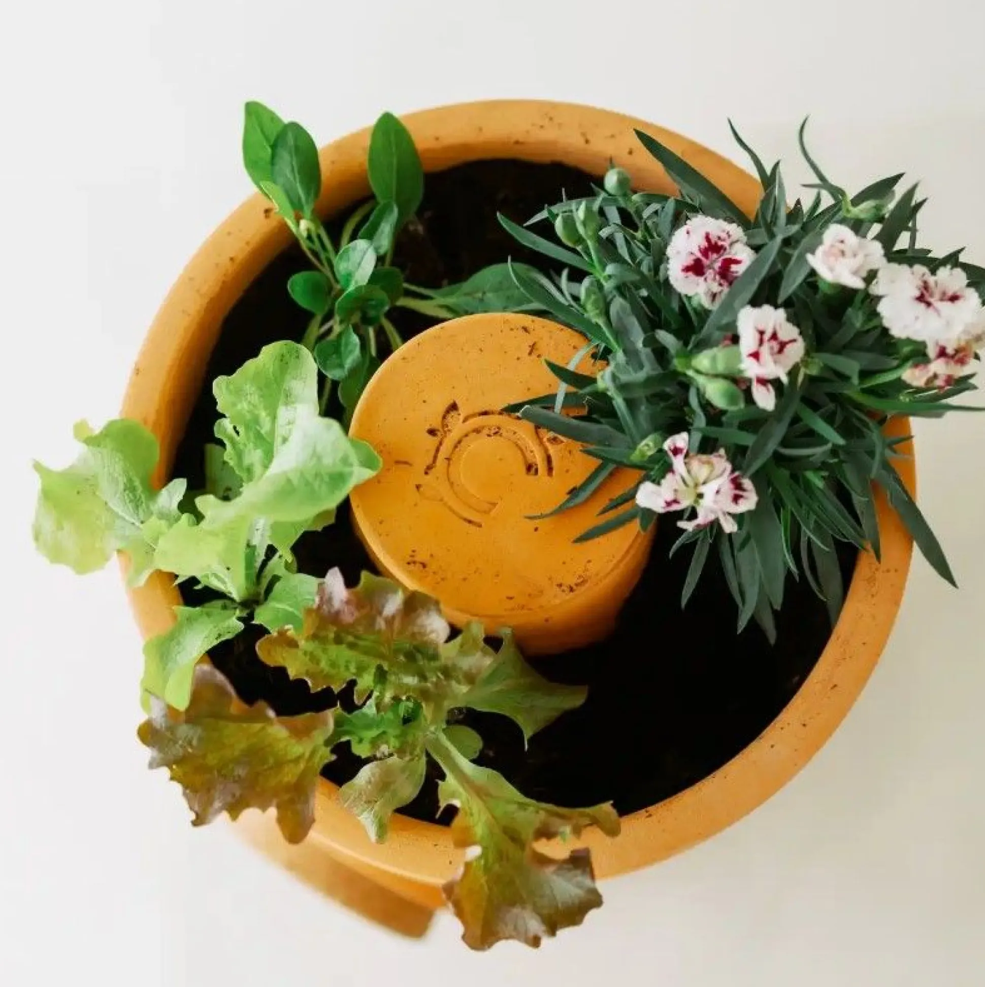 Bloemen composter 2 lagen