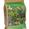 Bloemenmengsel Tübinger 50m²