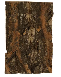 Boomschors kurk 12x18cm