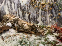 Boomschors kurk 12x18cm