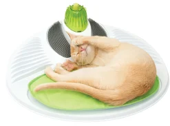 Ca 2.0 wellness center