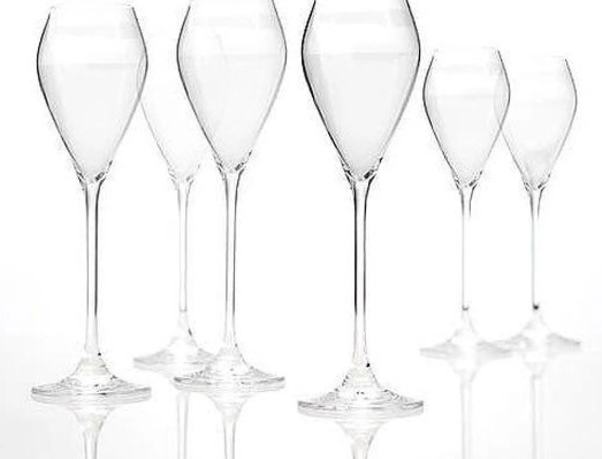 Champagneglas cuvée - set van 6