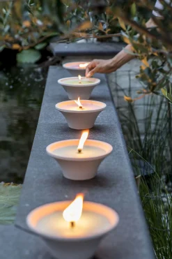 Citronellakaars in witte schaal - Asian Garden