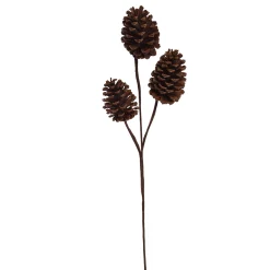 Dennekegel tak 55cm bruin