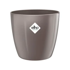 Diamond orchidee hoog 20cm