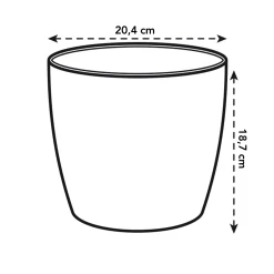 Diamond orchidee hoog 20cm