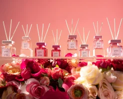 Essentials Intens & Dark Rose 2x50ml