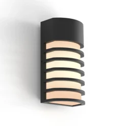 Fulton wandlamp mat zwart e27 40w