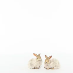 Fun konijn s beige