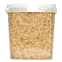 Gammarus 8 mm. 5 liter