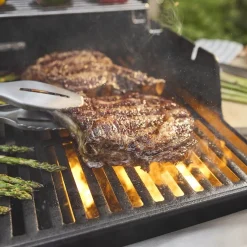 Gasbarbecue Spirit E-335