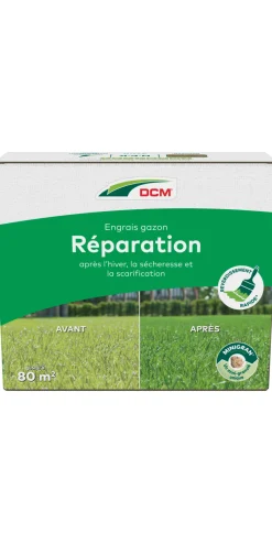 Gazonvoeding Herstel