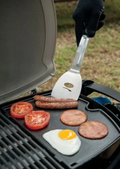 Geitijzer bakplaat klein