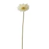 Gerbera creme 56 cm