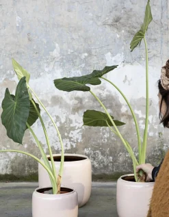 Glazed shades Sierpot costa l21xb21xh21 roze