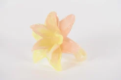 Glazen amaryllis bloem