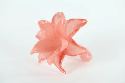 Glazen amaryllis bloem