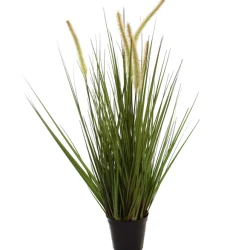Gras m/kattest pot 75cm groen