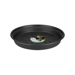 Green basics schotel 25