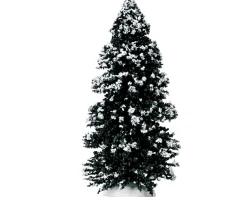 Groenblijvende boom, groot