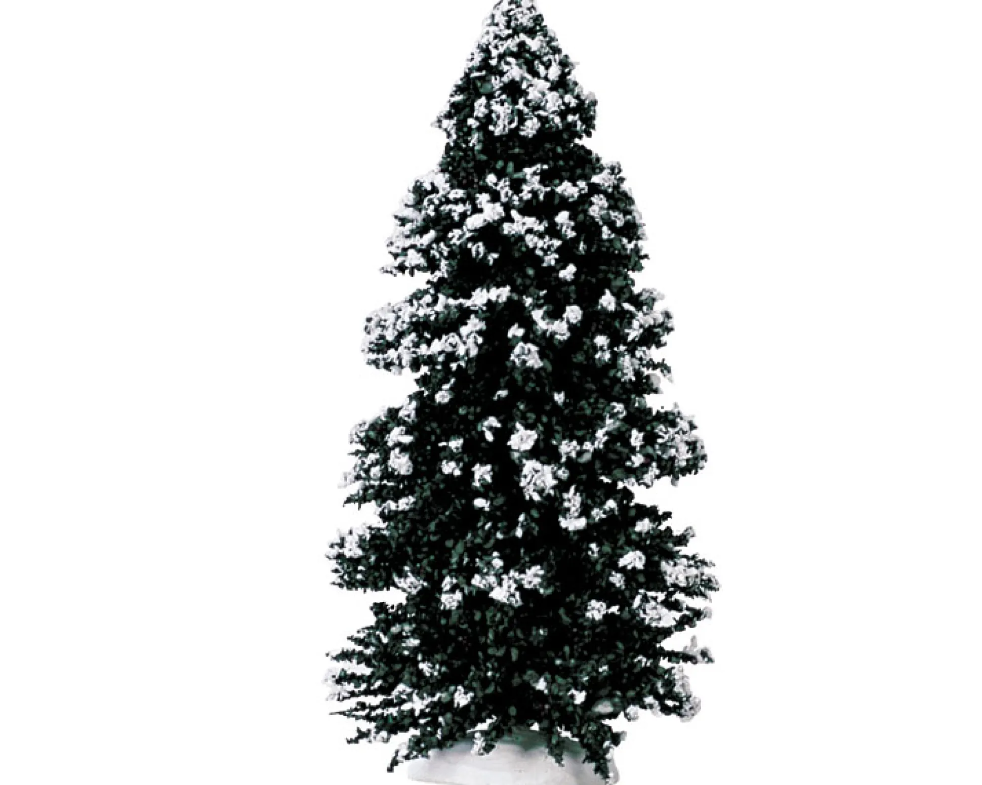 Groenblijvende boom, groot