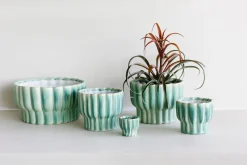 Grote orchidee pot ocean